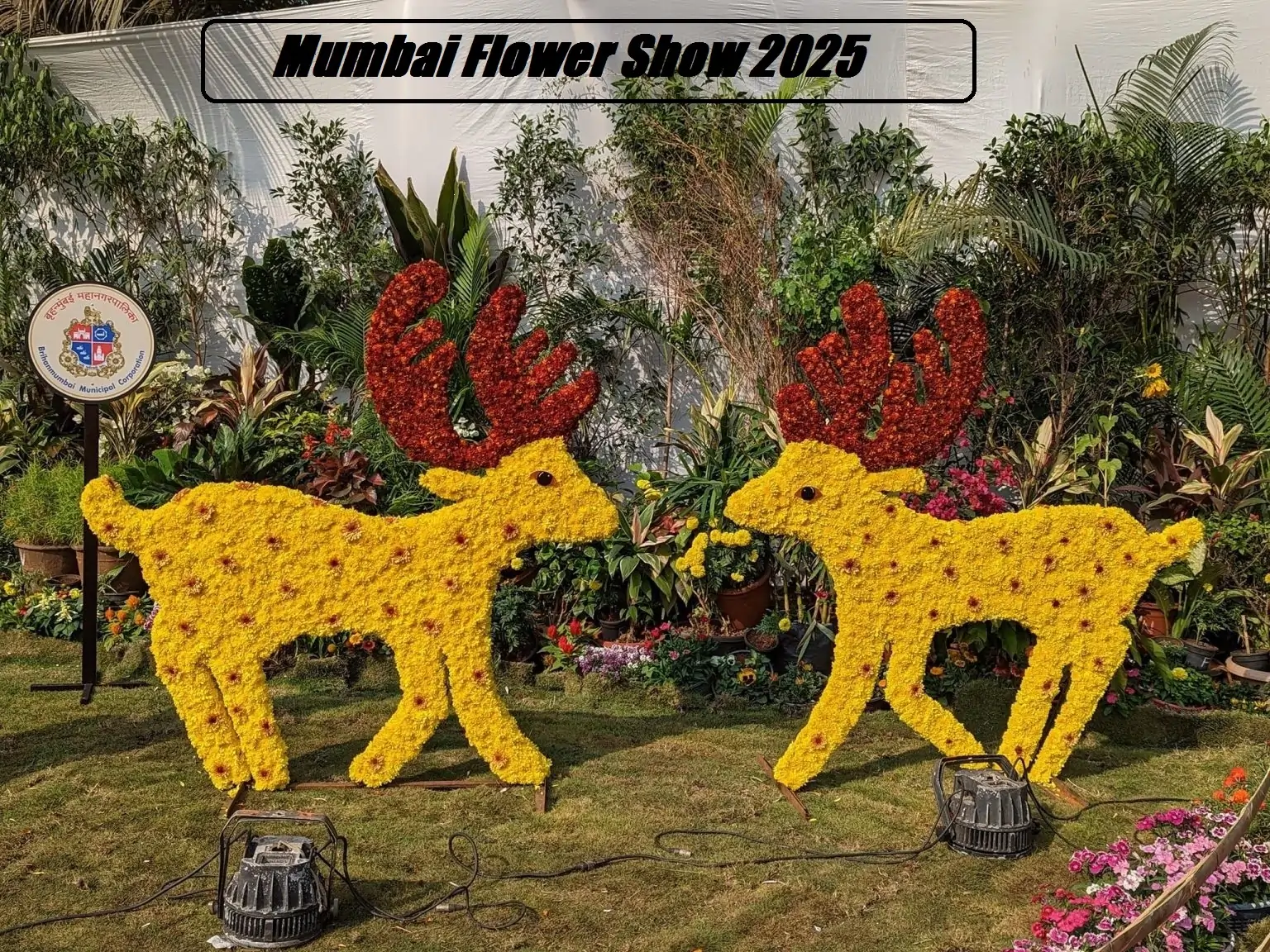 Mumbai Flower Show 2025